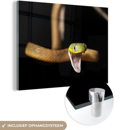 MuchoWow® Glasschilderij 160x120 cm - Schilderij acrylglas - Slang - Dier - Zwart - Foto op glas - Schilderijen