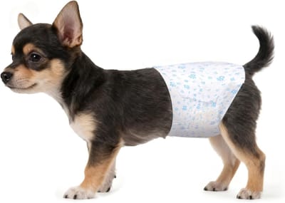 Verwisselbare Wegwerpluiers voor Honden, 20 Stuks, Super Absorberend en Zacht, Ideaal voor Mannelijke Honden en Periode Panty's