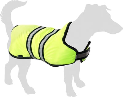Flamingo Winterjas Eisbär voor Honden - Fluo Geel - Maat 60 cm (A: 60 cm, B: 58-73 cm, C: 71,5-83 cm) - Ideaal voor Border Collie, Boxer, Labrador, Springer Spaniel en Braque.