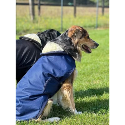 Waterdichte/fleece jas voor honden Flags&Cup Jamsa
