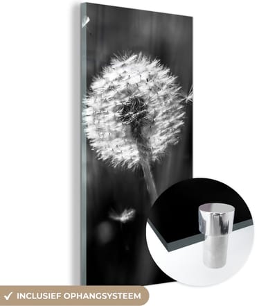 MuchoWow® Glasschilderij 20x40 cm - Schilderij acrylglas - Paardenbloem - Zwart - Wit - Plant - Foto op glas - Schilderijen