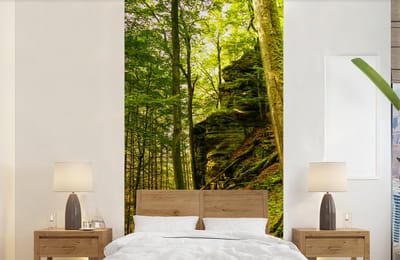 Behang - Fotobehang Bomen - Steen - Bos - Natuur - Planten - Breedte 120 cm x hoogte 240 cm