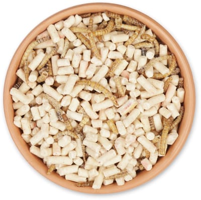 CJ Wildlife - 2.5kg Eiwitrijke insectenmix met extra vet - Tuinvogelvoer - Rijk aan eiwit- Geschikt voor diverse vogelsoorten