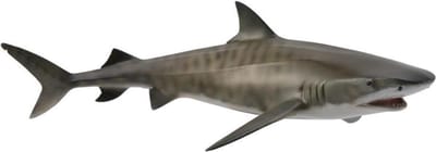 COLLECTA Figurine - Tijgerhaai - (L) - Zeedieren - Handgeschilderd - Miniatuur