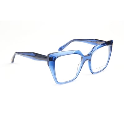 Ana Hickmann Optical Frame AH6588 T02 55