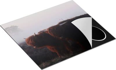 Chefcare Inductie Beschermer Twee Schotse Hooglanders in de Mist - 60x50 cm - Afdekplaat Inductie - Kookplaat Beschermer - Inductie Mat