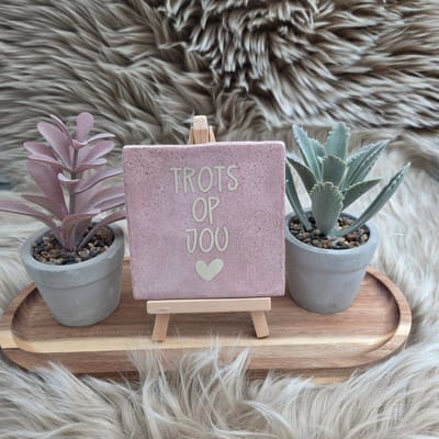 Robuust Wenstegeltje “Trots op Jou” – Lief Cadeautegeltje met Hartje – Trendy nu – Geslaagd – Vriend(in) – Familie – Gezin – Zomaar – Cadeau – Decoratief Tegeltje met Standaard – Cadeau Idee