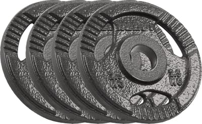 Rebel Active Serie - Gietijzeren Halterschijven - 2.5 kg - 4 Stuks - 51 mm Gatafmeting