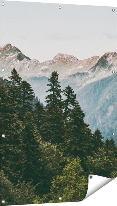 Gards Tuinposter Bos met Bomen in de Bergen - 80x120 cm - Tuindoek - Tuindecoratie - Wanddecoratie buiten - Tuinschilderij