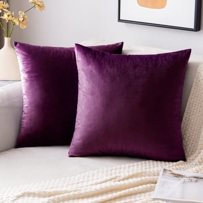 Dailygoods- Kussenhoes Fluwelen - 40 x 40 cm - Set van 2 - Decoratieve Kussenhoes - Verborgene Ritssluiting - Zacht en Comfortabel - Decoratiekussen