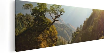 Artaza Canvas Schilderij Bos - 60x20 cm - Wanddecoratie Natuur - Muurdecoratie Bergen - Schilderijen Op Canvas Zon