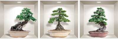3D bonsai ginseng stickers 30 x 90 cm