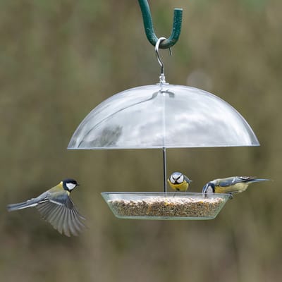 CJ Wildlife Hangende Voedertafel voor Vogels - Nantes - Voederplaats - Voederplank - Voederplek voor Tuinvogels