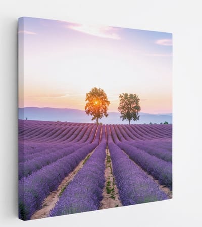 Saammp Canvas Schilderij - Lavendelveld met de zon tussen de bomen - Natuur - Landschap - 20x20 - Foto op canvas - Wanddecoratie - Muurdecoratie Woonkamer - Slaapkamer decoratie - Canvas Print