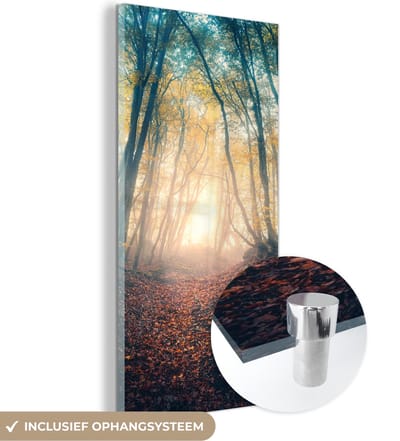 MuchoWow® Glasschilderij 20x40 cm - Schilderij acrylglas - Bos - Mist - Zon - Herfst - Foto op glas - Schilderijen