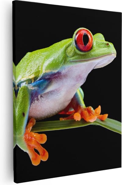 Artaza Canvas Schilderij Dieren - 40x50 cm - Wanddecoratie Kikker - Muurdecoratie Jungle - Kamer Accessoires