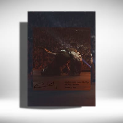 Billie Eilish – Metalen Poster - tegel - On Tour Guitar 2025 - 20x30cm