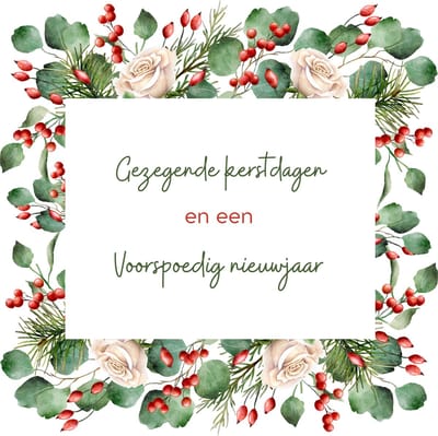 Gezegende kerstdagen en een voorspoedig nieuwjaar – Dubbele wenskaart 13x13 cm – Stevig 300 grams wit papier – Inclusief kraftkleurige envelop – FSC - Christelijke kerstkaart