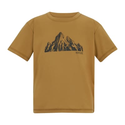 Regatta Kinderen/Kinderen Alvarado T-shirt met rugprint (Hout Bruin)