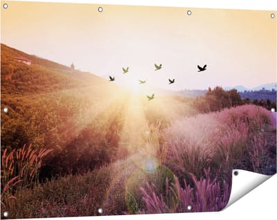 Gards Tuinposter Silhouet Zwerm Vogels bij Zonsondergang - 120x80 cm - Tuindoek - Tuindecoratie - Wanddecoratie buiten - Tuinschilderij