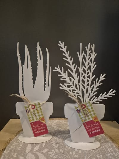Bedankt voor het schooljaar cadeau/juf/meester/metalen plant/origineel