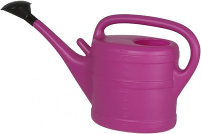 10 Liter Lilac Gieter - Duurzaam en Handzaam voor Binnen en Buiten