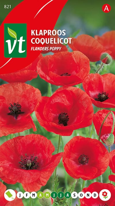 Papaver Rode Klaproos 'Flanders Poppy' Zaden - Klassieke Roodbloeiende Klaproos
