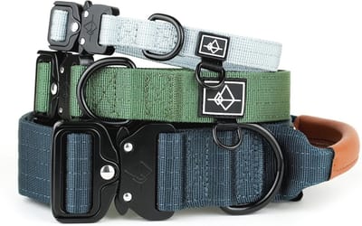Premium verstelbare nylon hondenhalsband met snelsluiting - Maat 3
