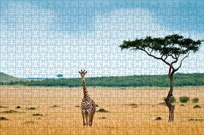 Houten Puzzel - 1000 Stukjes - Ontspanning Thuis - Hoge Kwaliteit Hout - 75x50cm - Kleurrijk