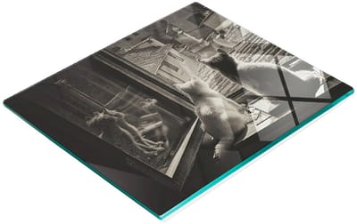 Multifunctionele decoratieve keukenwand van gehard staal met katten in het raam, 60x52 cm