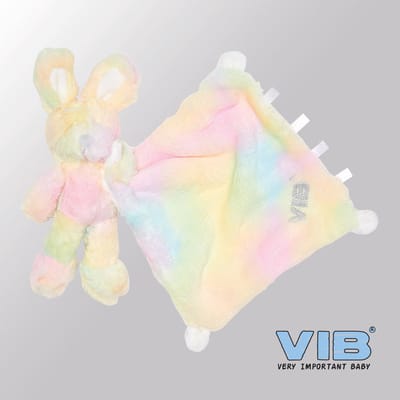 VIB® - Pluche Konijn houdt doekje vast VIB (Disco) - Babykleertjes - Baby cadeau - zwangerschap aankondiging - geboorte cadeau