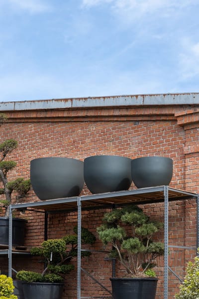 Pottery Pots - Plantenbak - (S) Jumbo Mila M - Ø100cm x H76cm - Indoor en Outdoor - Pine Green