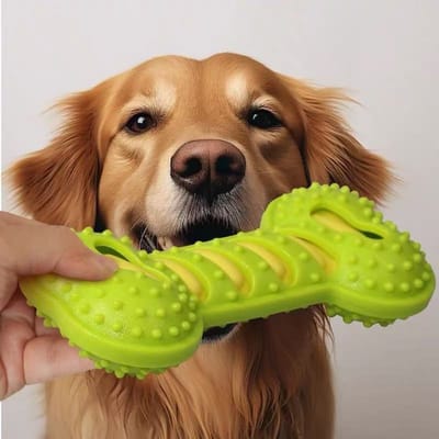 Honden Knaagspeelgoed voor agressieve kauwers, Duurzaam Rubberen Bot Tandenkrijg Speelgoed met Pieper, Interactieve Puppy Kauwstick voor Kleine Middelgrote Grote Honden pack-1 groen