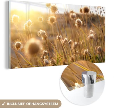 MuchoWow® Glasschilderij 40x20 cm - Schilderij acrylglas - Planten - Natuur - Bloemen - Zon - Horizon - Foto op glas - Schilderijen