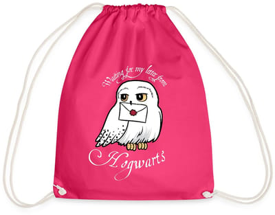 Harry Potter Hedwig Met Brief Waiting For My Letter Gymtas