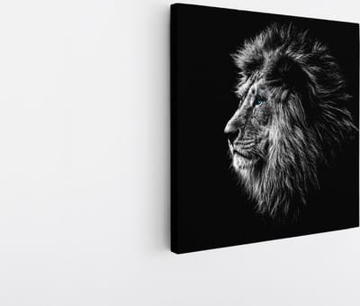 Saammp Canvas Schilderij - Portret van een Leeuw - Natuur - Dieren - 20x20 - Foto op canvas - Wanddecoratie - Muurdecoratie Woonkamer - Slaapkamer decoratie - Canvas Print