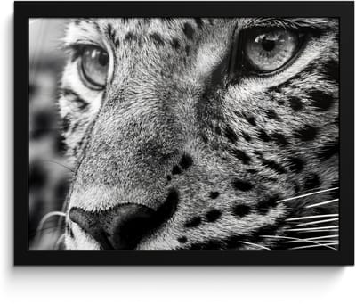 Poster in lijst - Fotolijst 40x30 cm - Posters - Luipaard - Zwart - Wit - Oog - Posterlijst zwart - Decoratie - Wanddecoratie woonkamer - Muurdecoratie slaapkamer