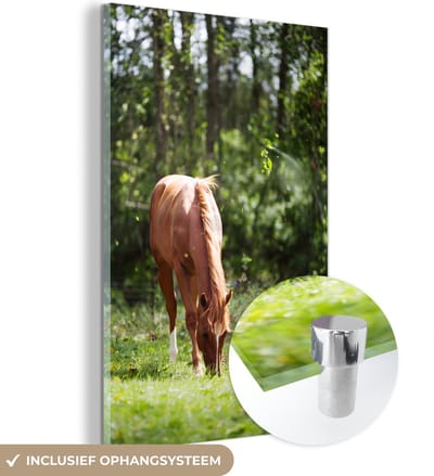 MuchoWow® Glasschilderij 100x150 cm - Schilderij acrylglas - Paard - Bloemen - Licht - Foto op glas - Schilderijen