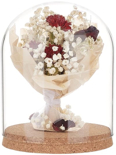 Koepelbel - Glazen Display 19 x 15 cm - Met Kurkbasis voor Bloemen en Decoratie