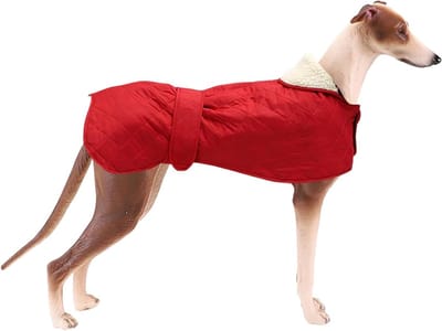 Warm Thermisch Gevoerd Hondenjack, Winterjas voor Honden met Fleece Voering, Buiten Hondenkleding met Verstelbare Bandjes voor Middelgrote en Grote Honden