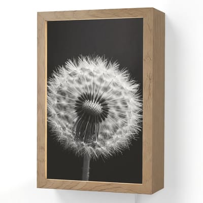 Wandlamp 20x30 cm - Oplaadbaar - Paardenbloem - Zwart - Wit - Wandlampen binnen woonkamer - Slaapkamer lamp met kabel - Decoratieve nachtlamp - Vloerlamp snoer