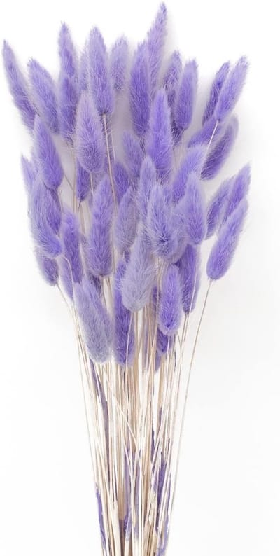 SnelShoppen - 50 Sticks Pampasgras Droogbloemen Boho Decoratie - Licht Paars - Extra Fluffy Dried Flowers - Hoogwaardige Natuurlijke Planten voor Thui