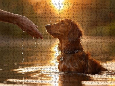 Puzzel 2000 stukjes - Legpuzzel Volwassenen - Ontspannende Hobby - Hoogwaardig Lindehout - 995 x 705 cm - Zonsondergang