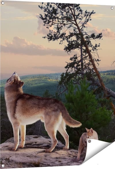 Gards Tuinposter Drie Wolven op een Rots in het Bos - 80x100 cm - Tuindoek - Tuindecoratie - Wanddecoratie buiten - Tuinschilderij