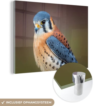 MuchoWow® Glasschilderij 120x90 cm - Schilderij acrylglas - Vogel - Macro - Blauw - Foto op glas - Schilderijen