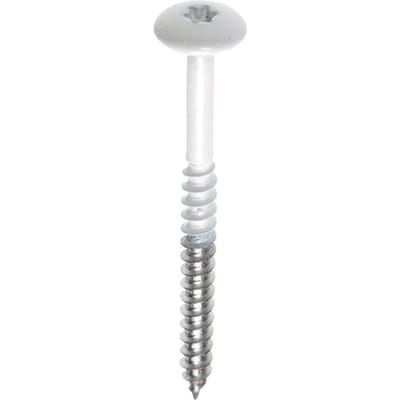 Schroeven voor montage Trespa platen - Torx 20 - 4,8x25mm - RVS - Deeldraad - Wit RAL 9010 (100 stuks)