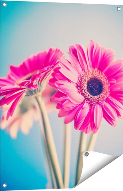 Gards Tuinposter Twee Roze Anjers - Bloemen - 60x80 cm - Tuindoek - Tuindecoratie - Wanddecoratie buiten - Tuinschilderij