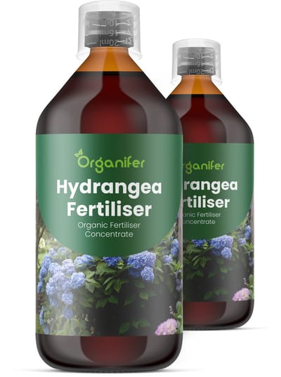 Vloeibare Meststof Voor Hortensia 2X1 L Voor 2000 L - Npk 2-1-8 - Knopvorming - Meer Bloemen - Sterke Bloemstructuur - Langdurige Bloei - Sterk Wortelstelsel - Stressbestendig - Rijke Bladkleur- Seizoensvitaliteit - Evenwichtige Groei - Organifer