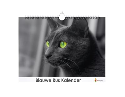 Huurdies - Verjaardagskalender - Blauwe Rus - A4