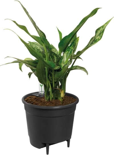 Elho Self-watering Insert 24 - Binnenpot met watermeter - Ø 23.7 x H 22.2 cm - Living black
